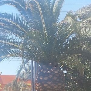 Meet your Posher, Angel